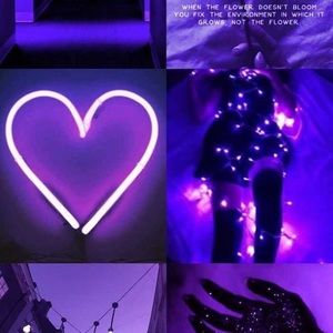 Meet your Posher, Hilary